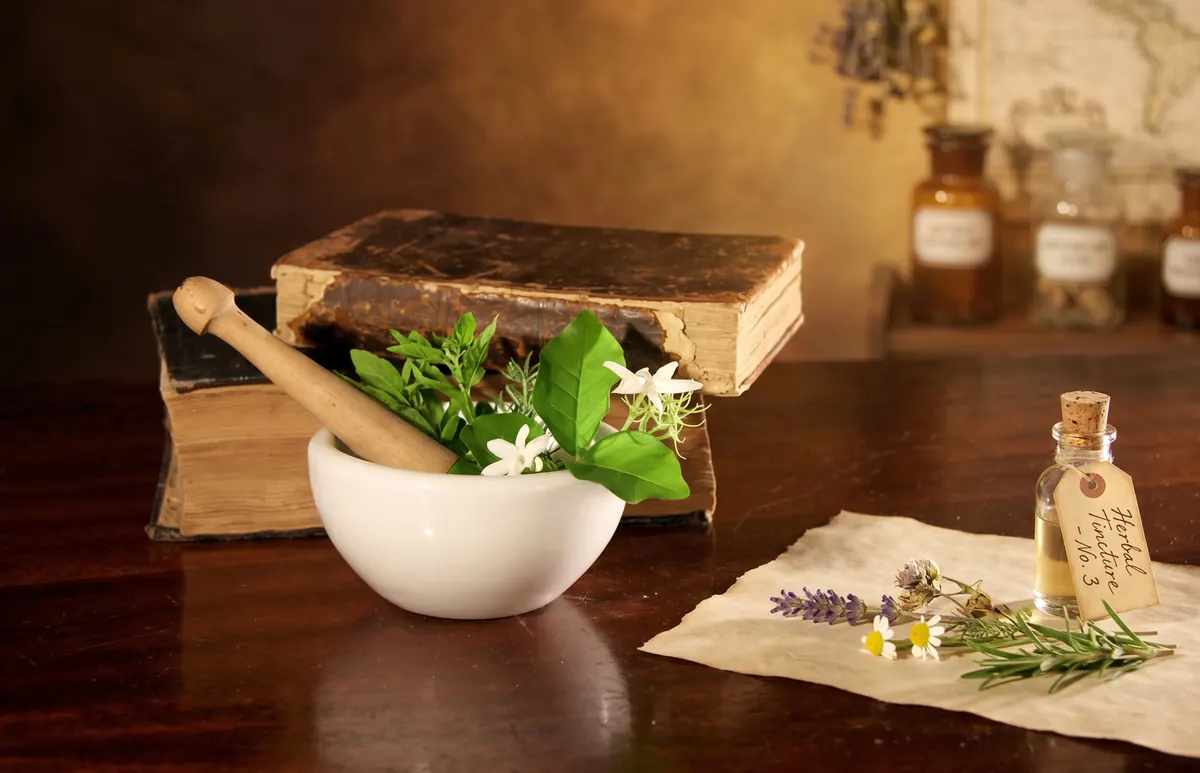 Hierbas medicinales y preparados naturales