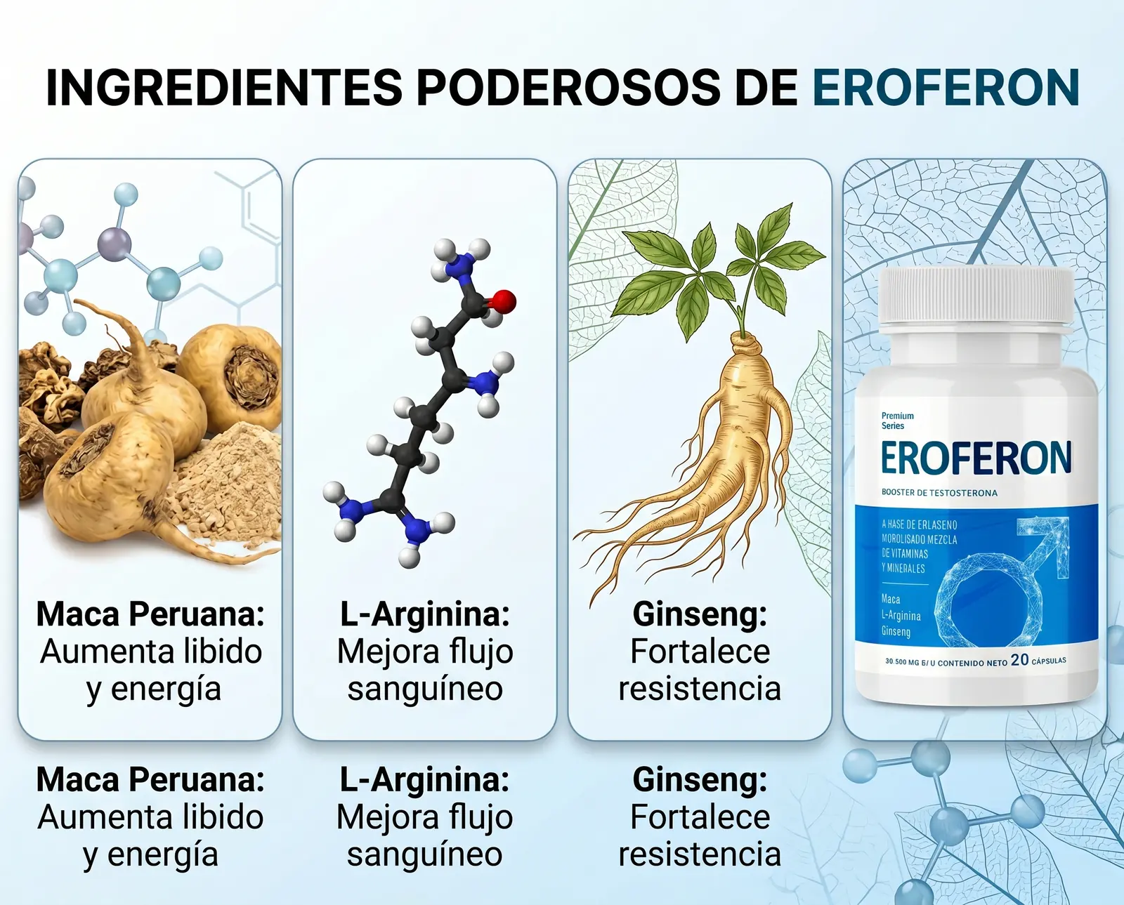 Los cuatro ingredientes de Eroferon: maca peruana, L-arginina, ginseng y L-carnitina